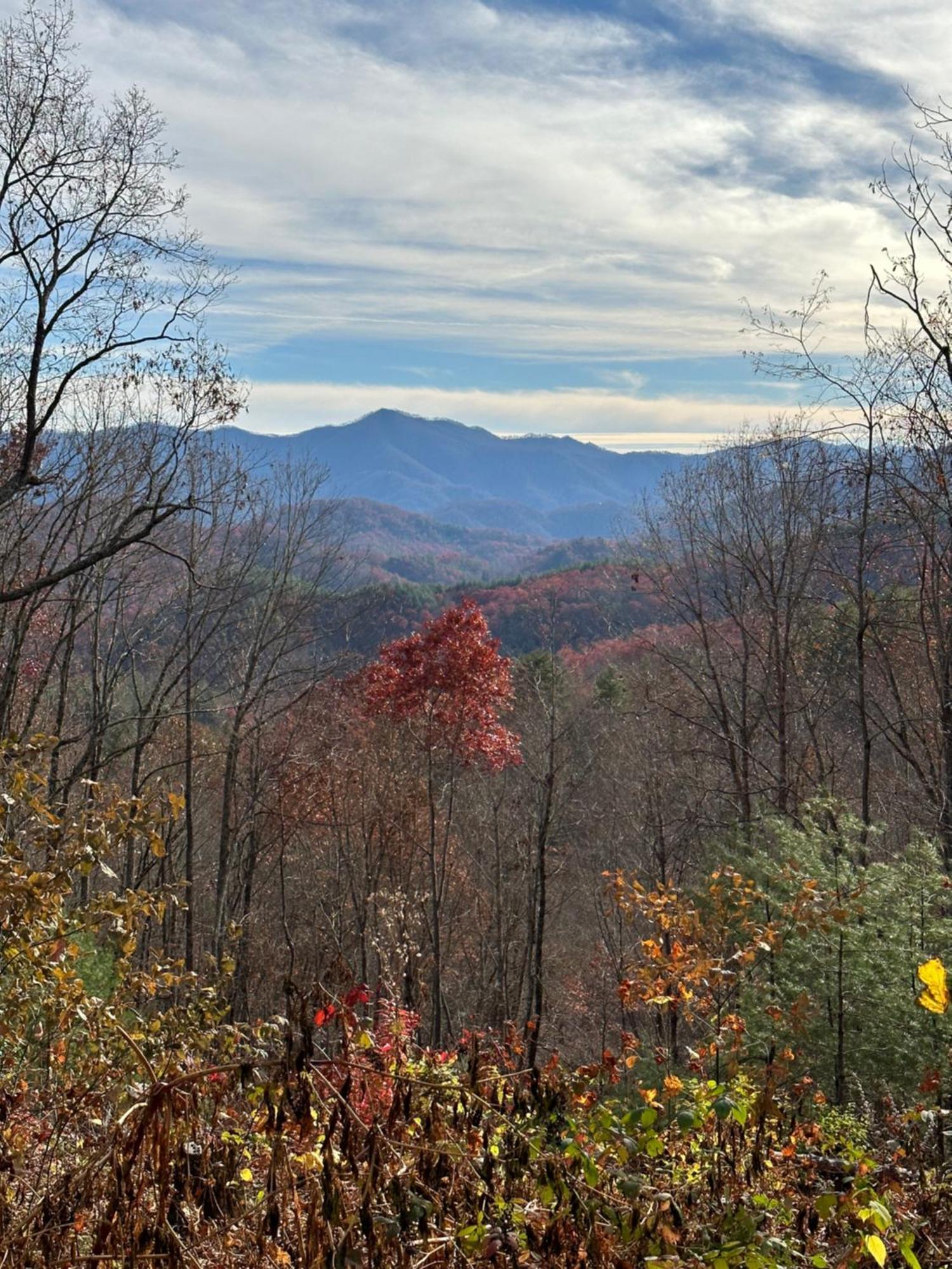 Stunning Views, Superb Atmosphere, Modern Amenities, In The Middle Of Nature Bryson City Exterior photo
